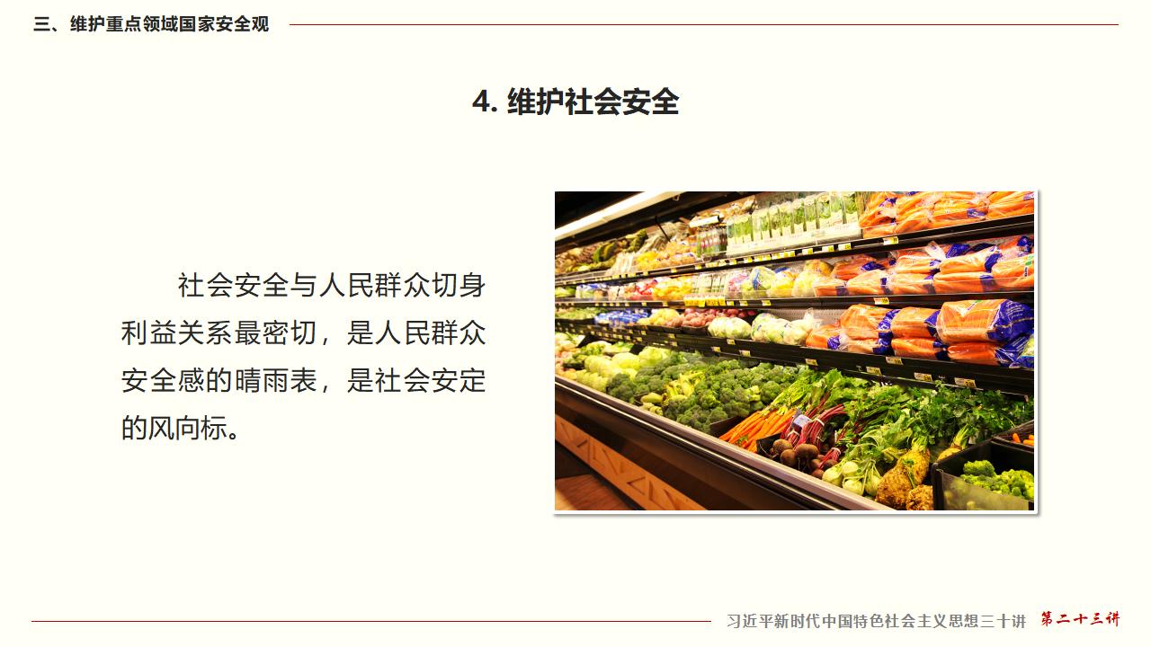 23堅(jiān)持總體國(guó)家安全觀_43.jpg